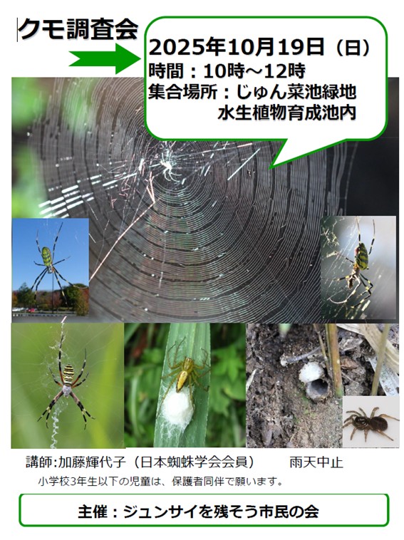 クモ調査会20251019ジュンサイを残そう市民の会