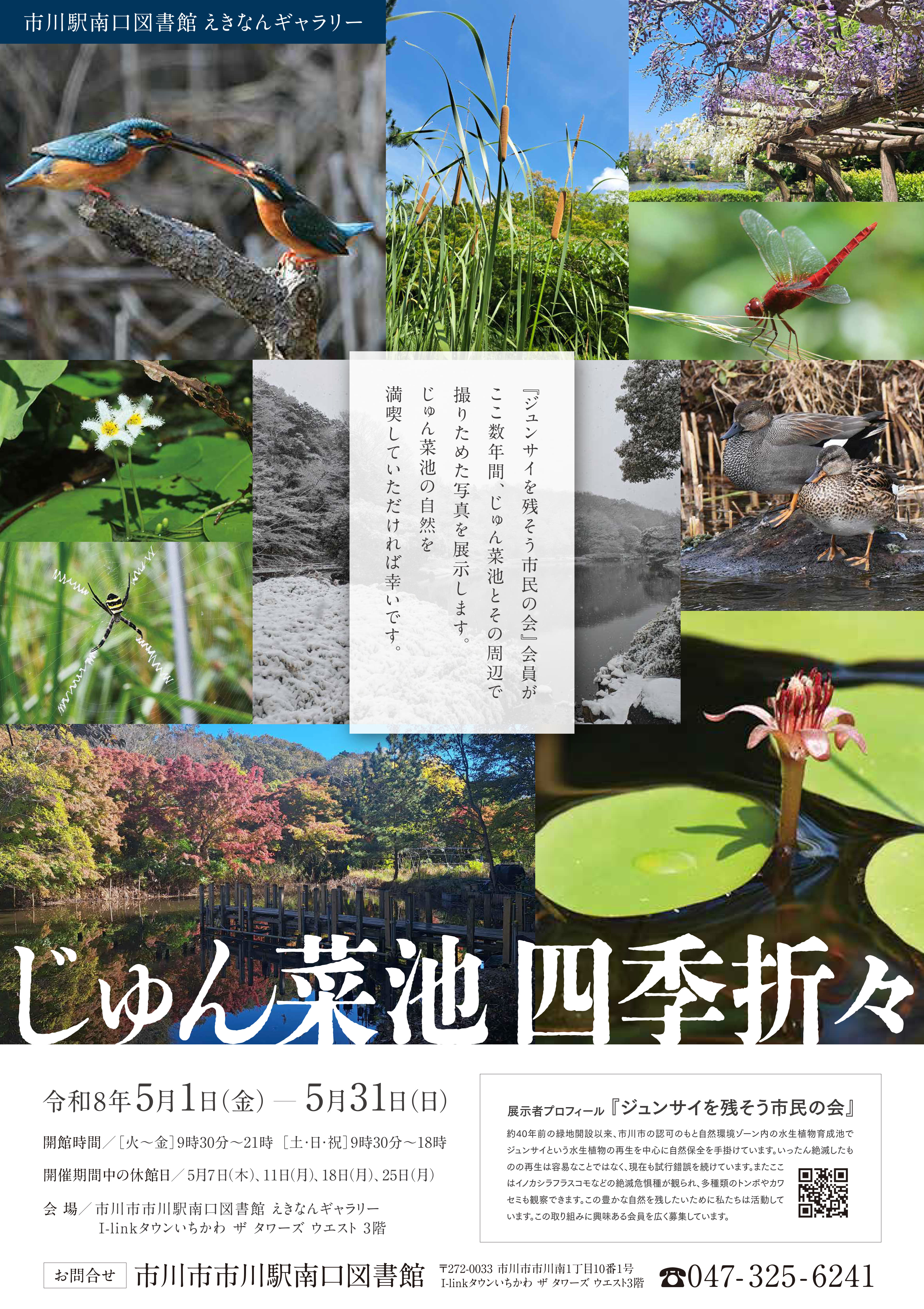 2026写真展in市川駅南口図書館