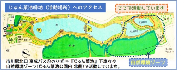 じゅん菜池緑地への地図