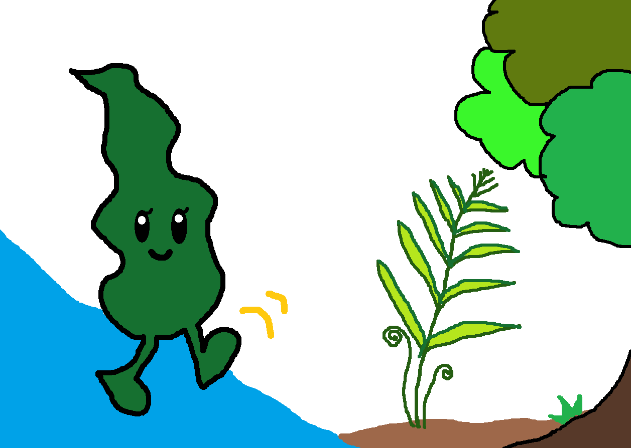 wakame