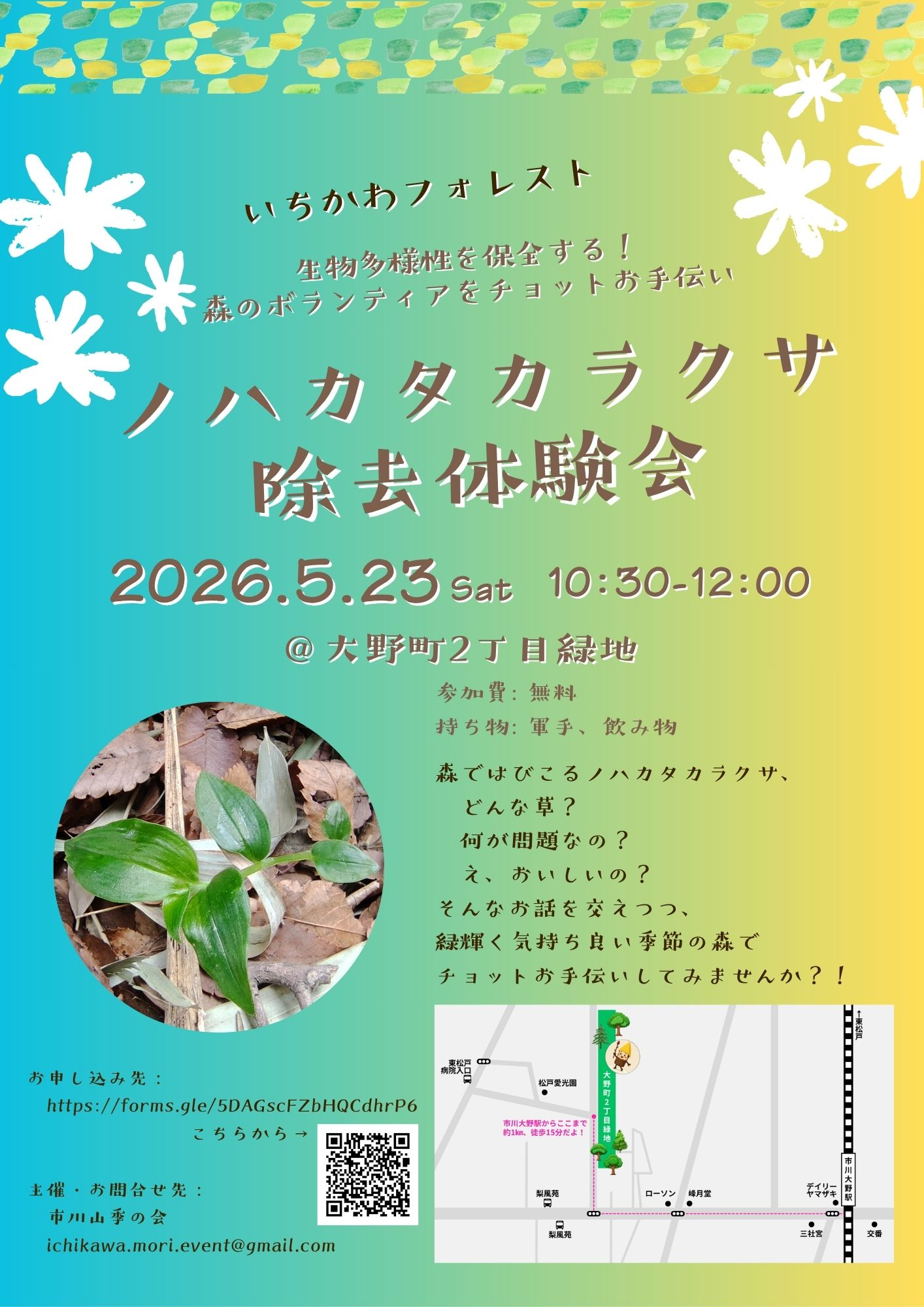 ノハカタカラクサ除去体験会